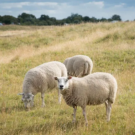 Theijwerck - Not Intended For Company Or Work-related Дом отдыха Ауддорп