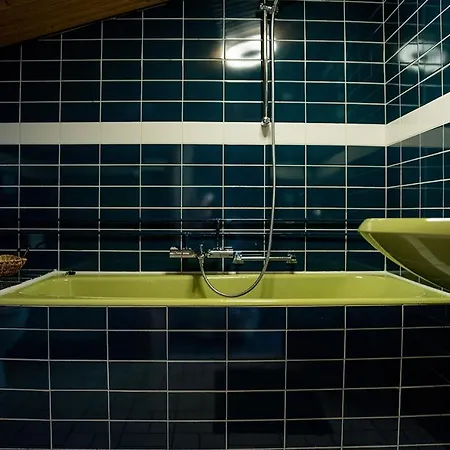 Theijwerck - Not Intended For Company Or Work-related Дом отдыха *