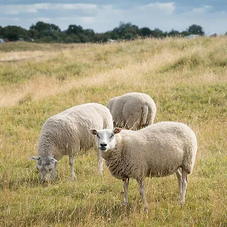 Дом отдыха Theijwerck - Not Intended For Company Or Work-related