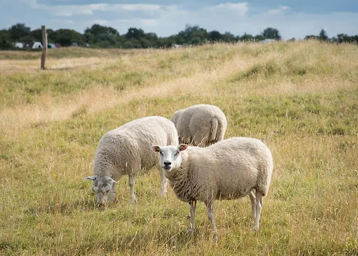 Theijwerck - Not Intended For Company Or Work-related Nyaraló Ouddorp