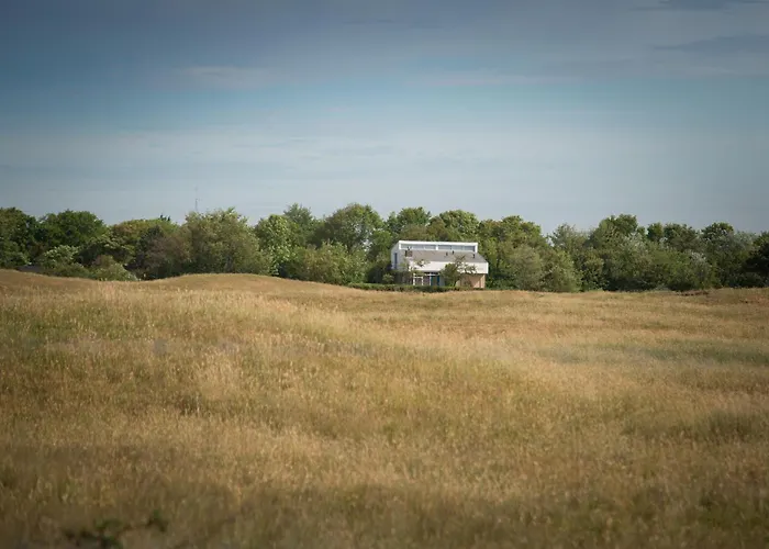 Theijwerck - Not Intended For Company Or Work-related * אאודורפ